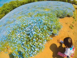 BeautyPlus_20170425233943_save