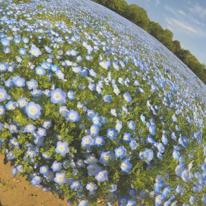 IMG_20170426_012257_385