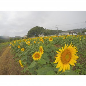 17-08-30-14-56-07-900_deco