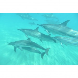 17-11-01-11-03-32-524_deco