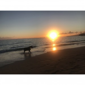 17-11-01-11-09-03-587_deco